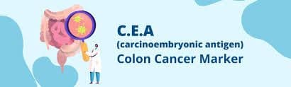  CEA 
