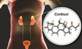  Cortisol- Evening 