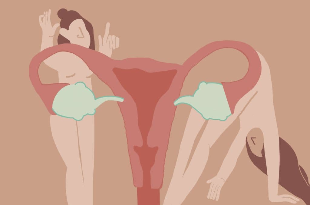 Doctor Talks: Female Anatomy 101: All You Need to Know But Were Afraid to Ask.