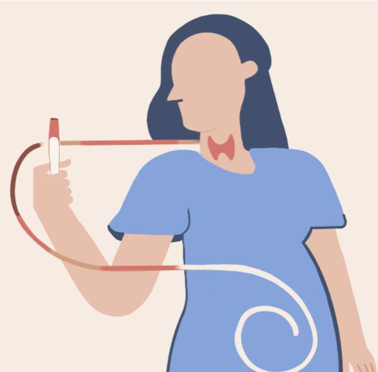 The Relationship between Thyroid and Fertility