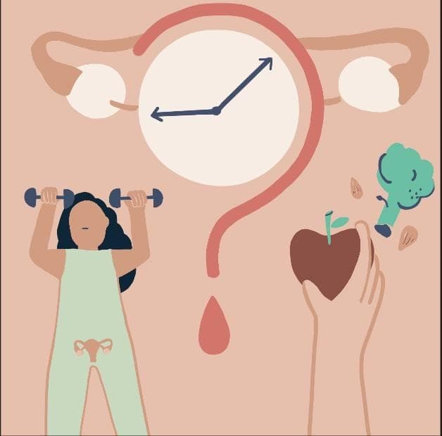 Perimenopause Diet and Lifestyle