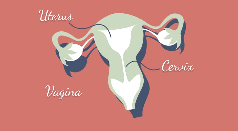 5 Questions To Ask Your Gynaecologist If You Haven’t Already