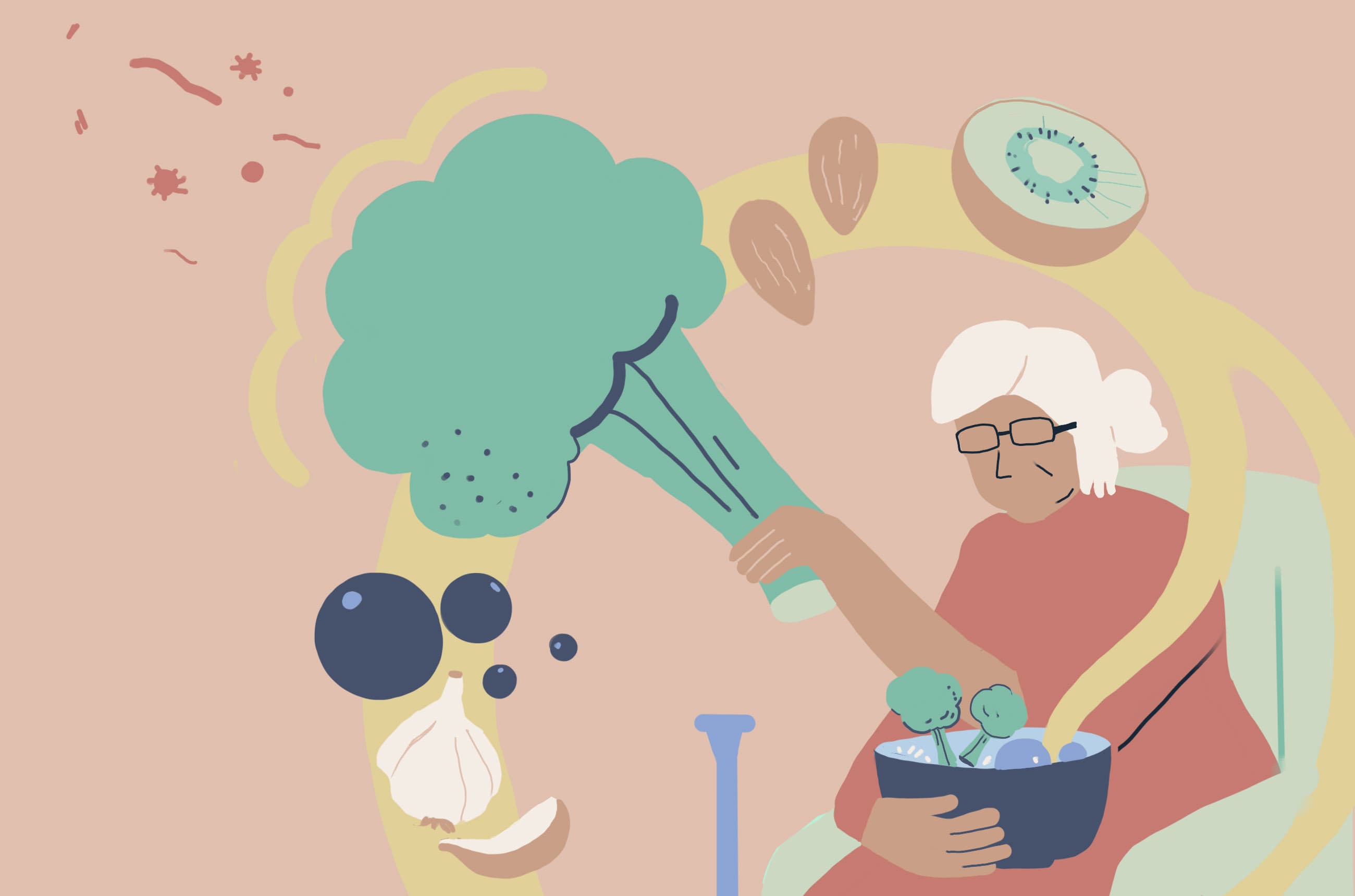 Foods to Boost the Immune System in the Elderly