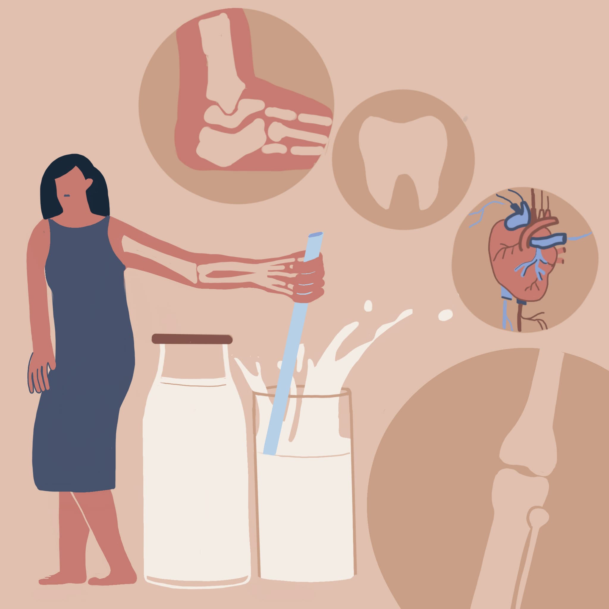 Importance of Calcium for the human body